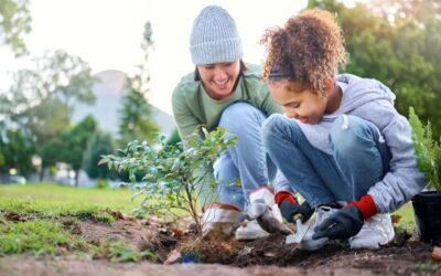 December Coalition Meeting: Parent and Caregiver Focus