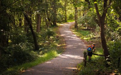 TimeWise Coalition Meeting Recap and What You Can do Next